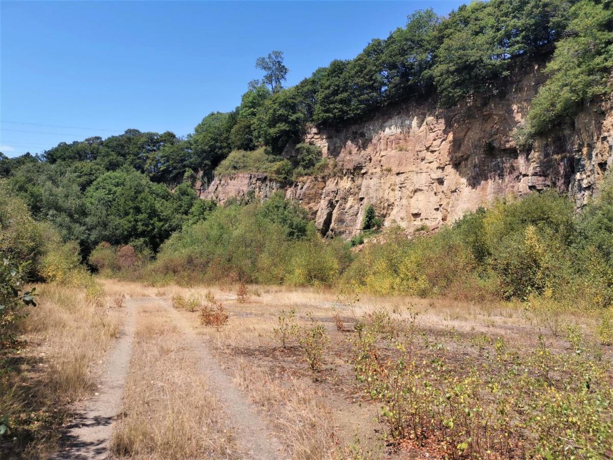 Domaine LVD avec SPA, bois et rivière privée La Bloutiere Exterior foto