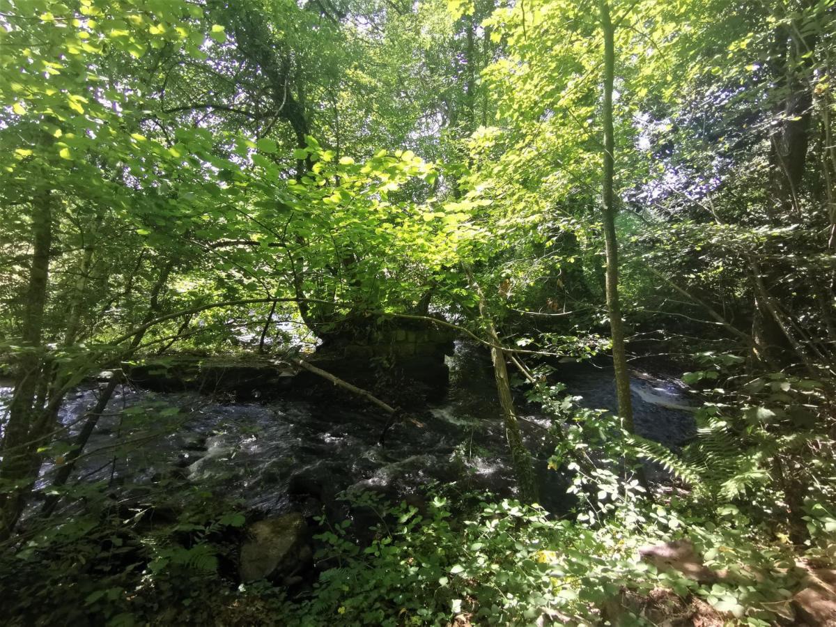 Domaine LVD avec SPA, bois et rivière privée La Bloutiere Exterior foto
